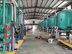 阴阳离子交换器